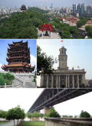 Wuhan_montage.png